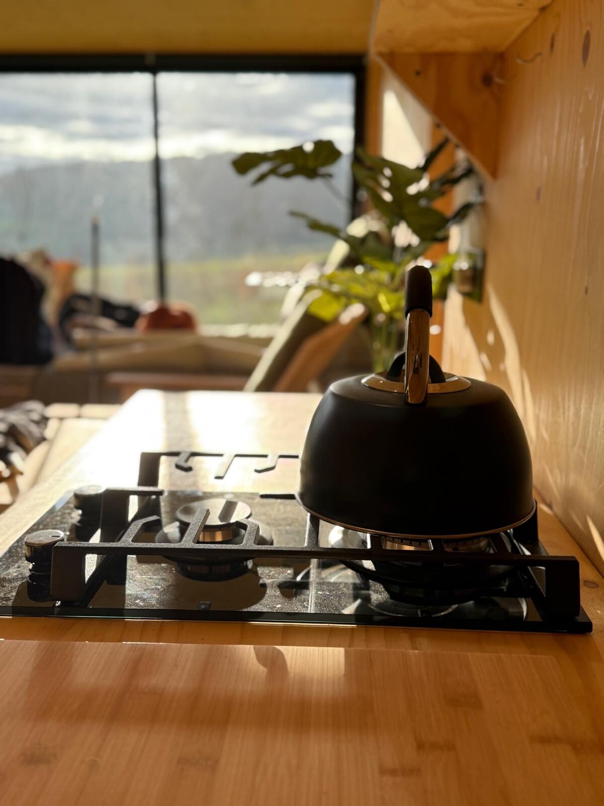 Roeka cabin detail — design-led off-grid cabin near Festival of Speed venue